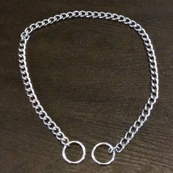 21” Correction Dog Collar - Picture 1 of 1